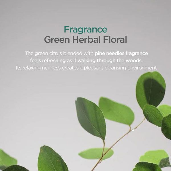 AYUNCHE REBALANCING MINI KIT FRESH